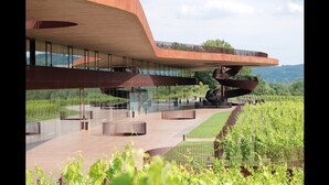A modern building with a curved roof and a vineyard in the background.