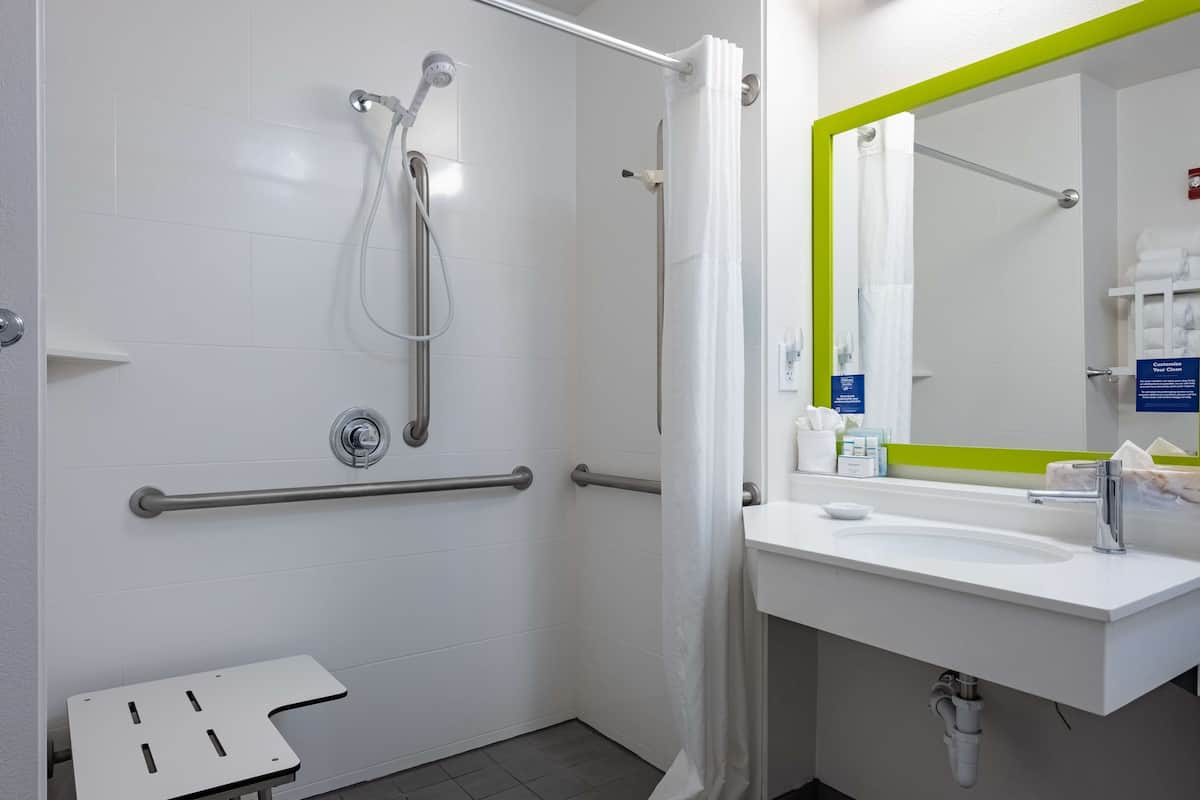 room, 1 king bed, accessible, non smoking | bathroom shower