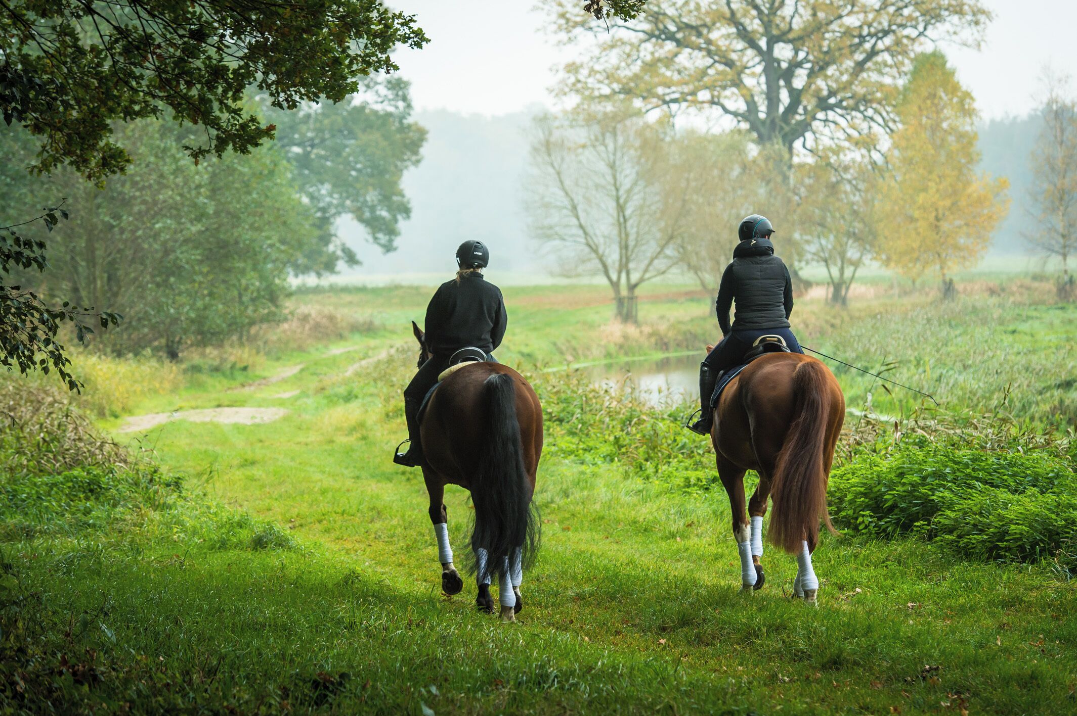 Foto - Schloss Basthorst