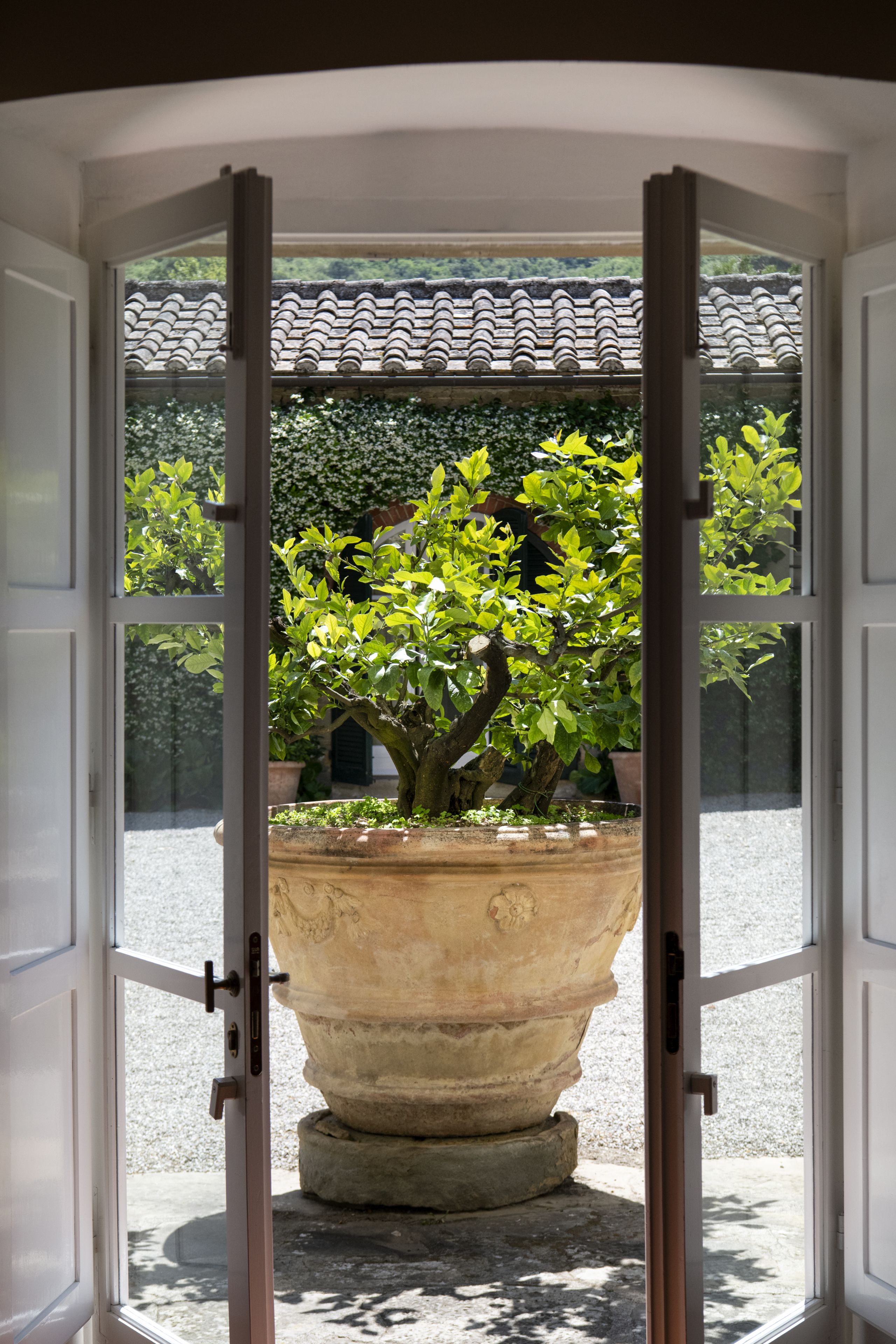 suite (garden) | courtyard view