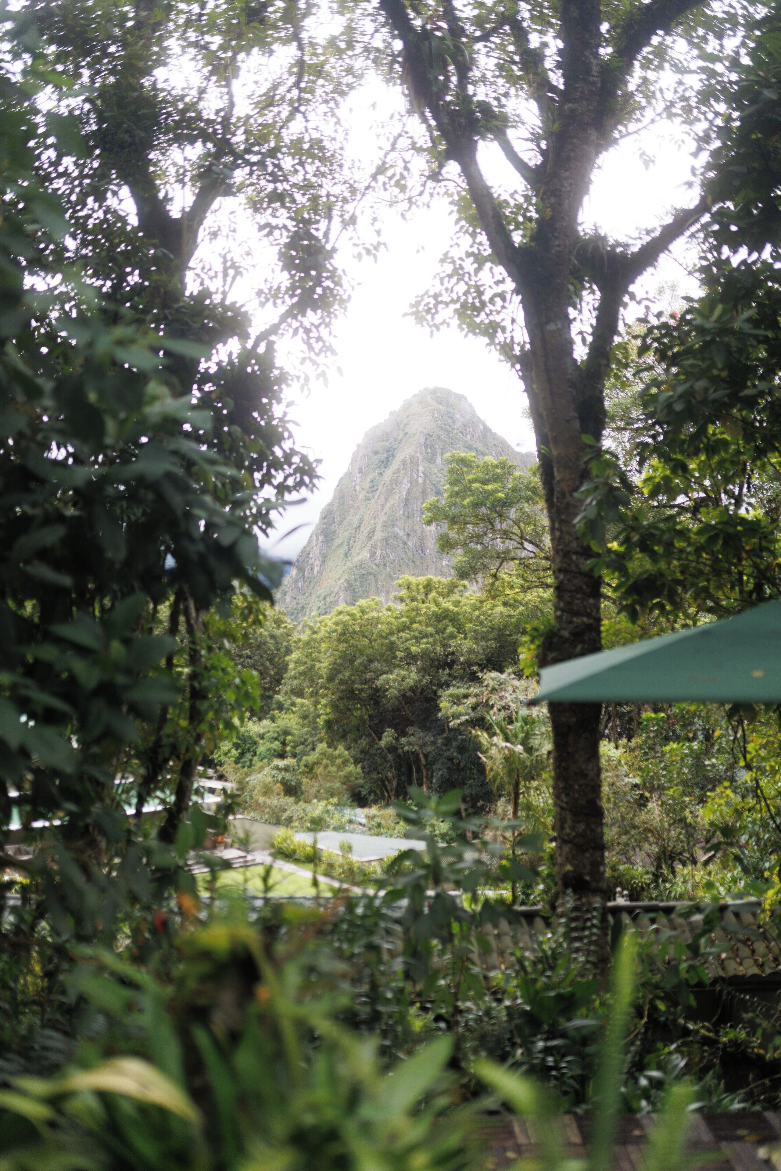 deluxe room, terrace | 1 bedroom, hypo-allergenic bedding, down duvets, free minibar