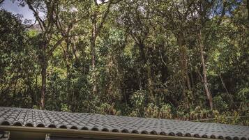 A wooden table and chairs outside a building with a tiled roof, surrounded by dense trees.