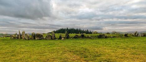 Un campo cubierto de hierba con piedras verticales y un bosque al fondo.