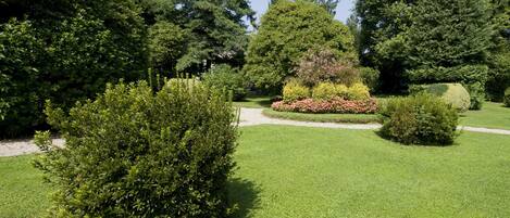 Ein gepflegter Garten mit verschiedenen Sträuchern und einem ordentlich geschnittenen Rasen.