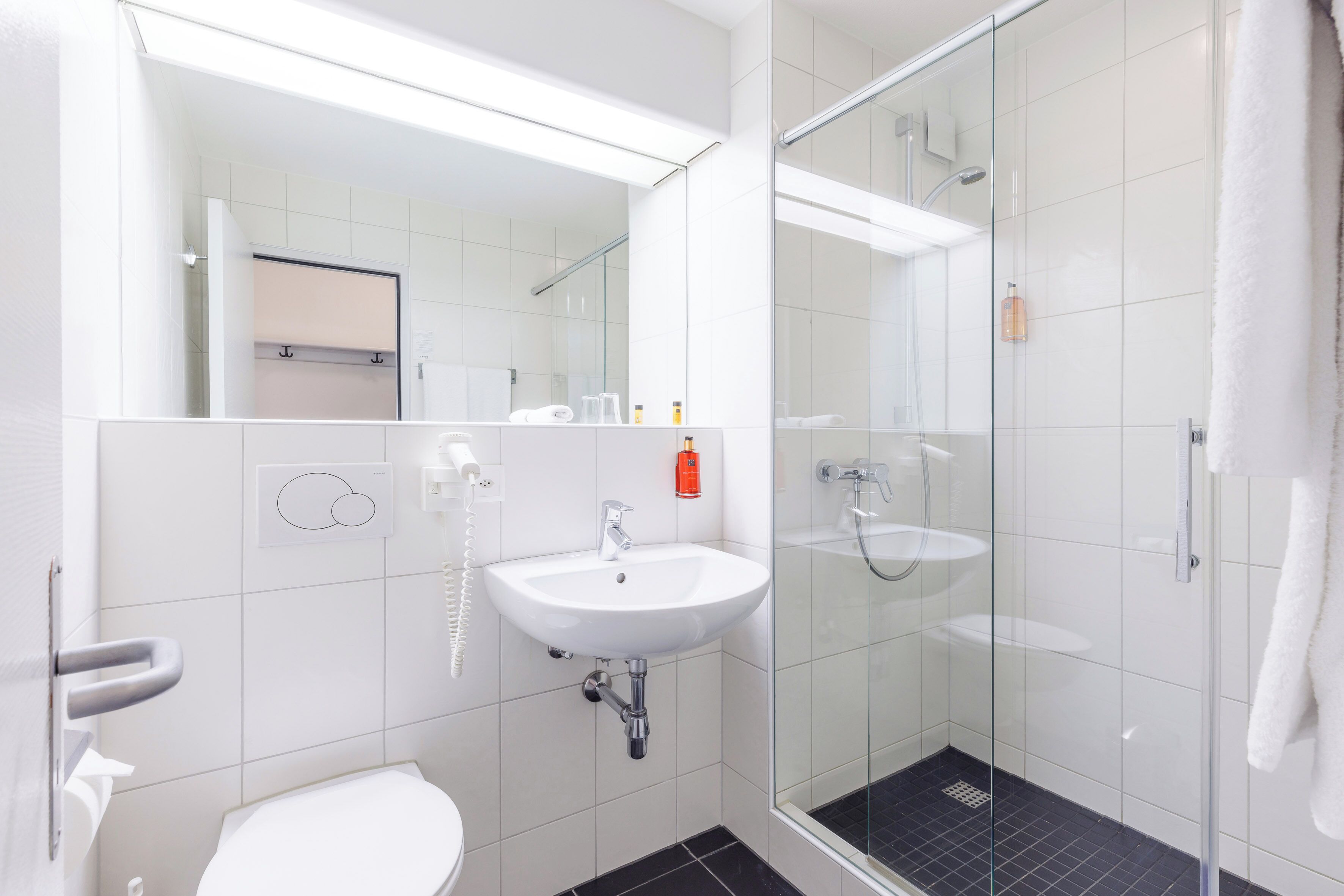 hair dryer, towels, soap, shampoo