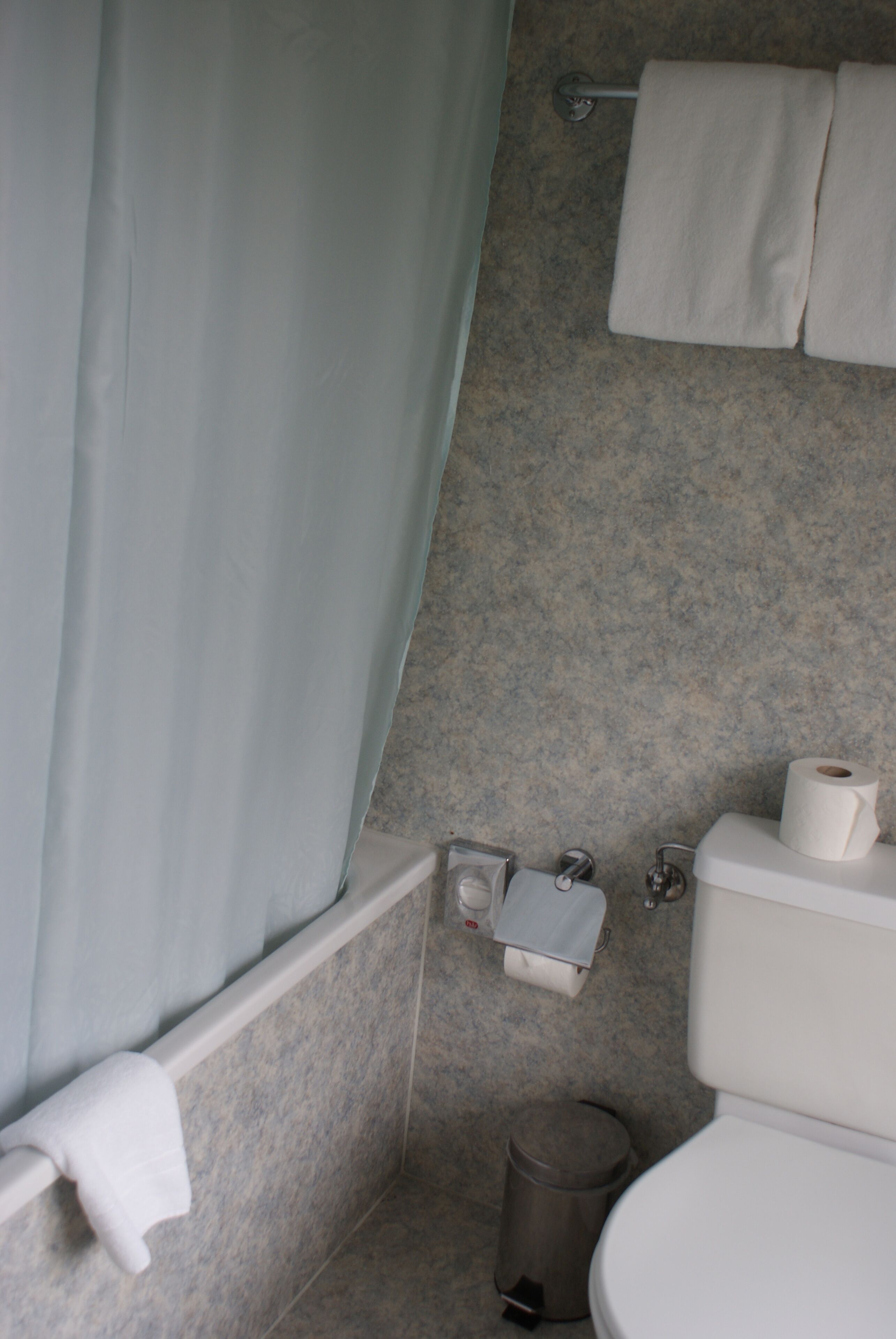 Une salle de bain équipée d’un rideau de douche, de toilettes, d’une poubelle et d’un porte-serviettes.