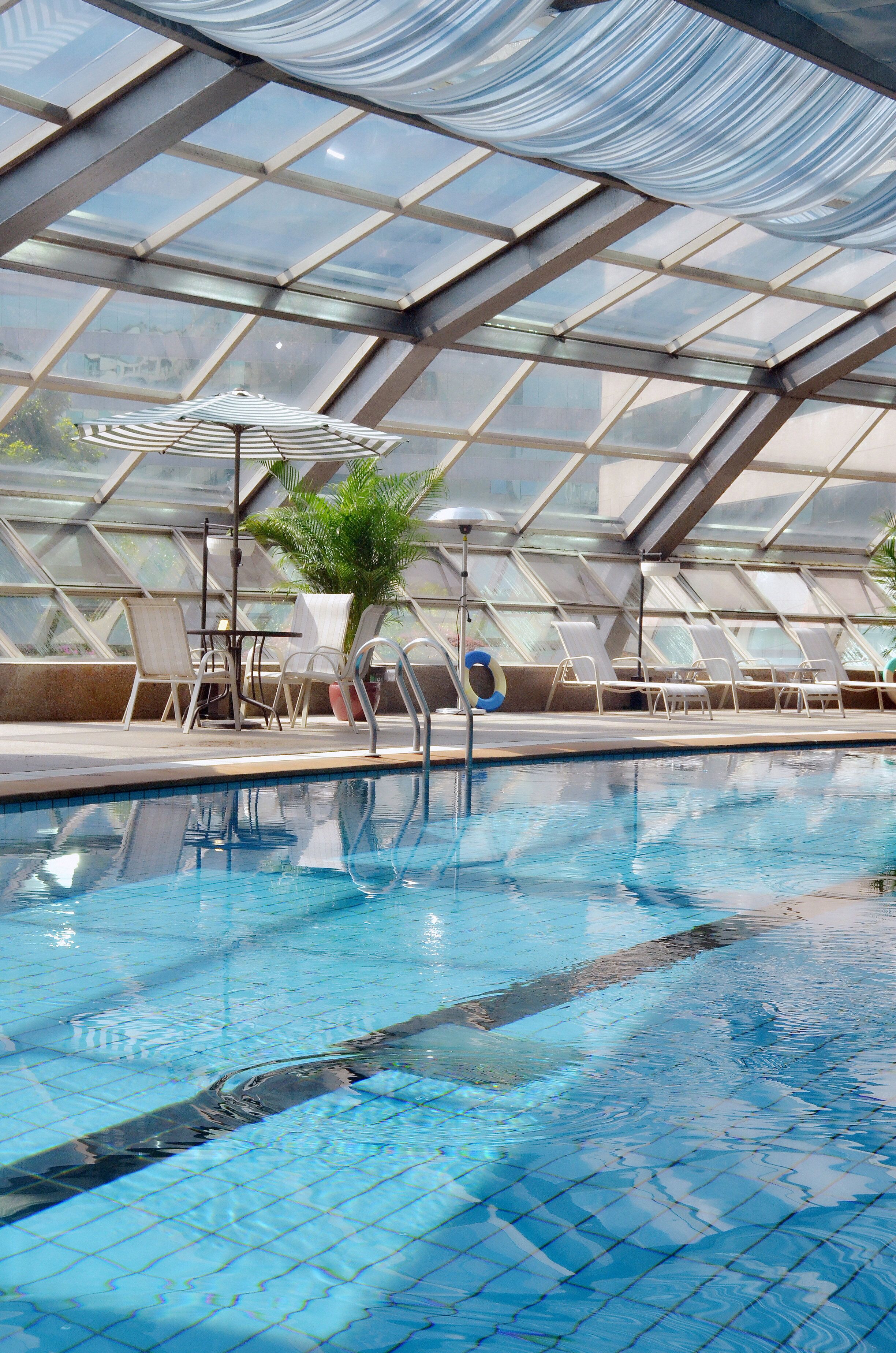 Una piscina interior con agua azul cristalina, rodeada de sillas de descanso y una gran planta en maceta.