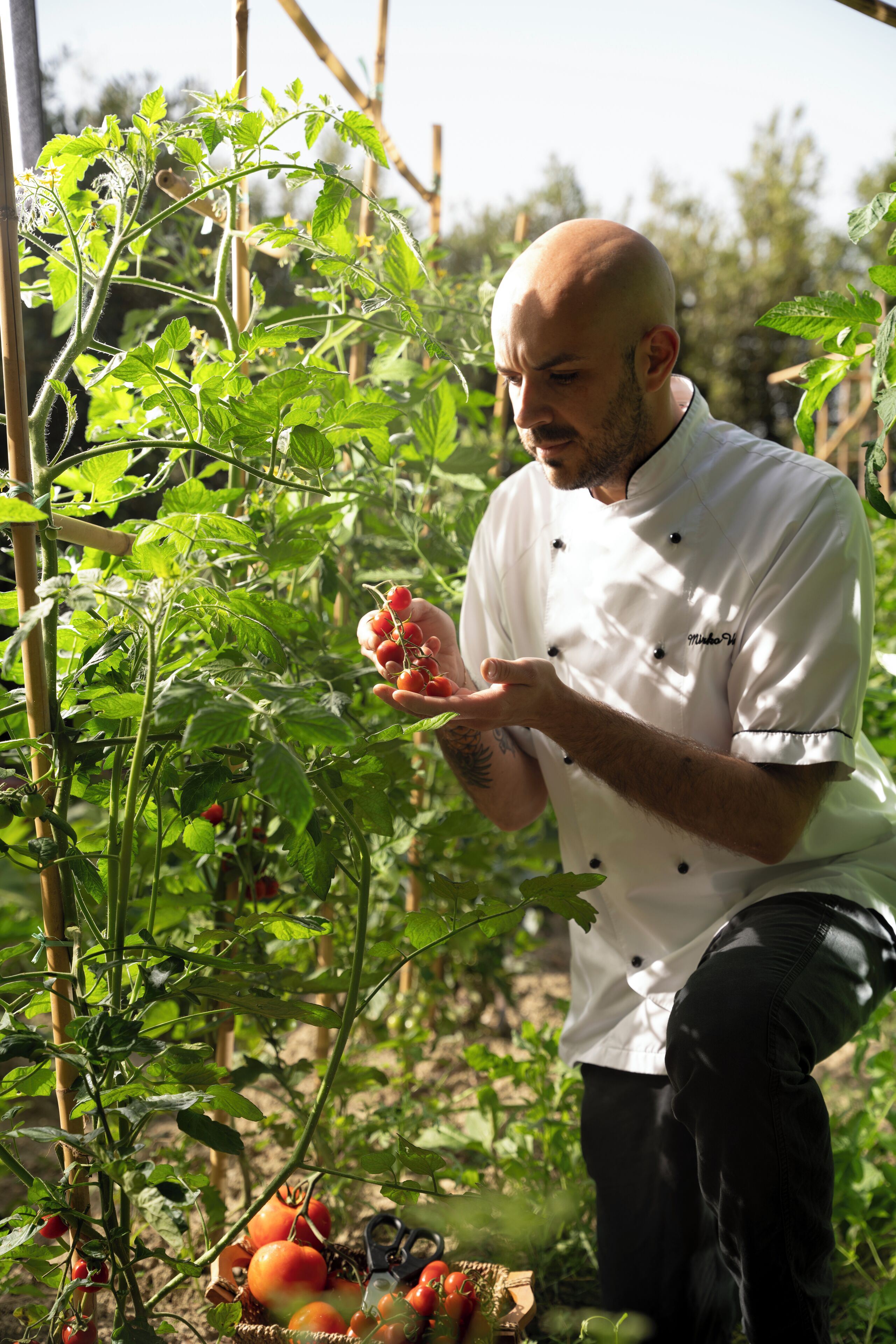 breakfast, lunch, dinner served; italian cuisine, pool views