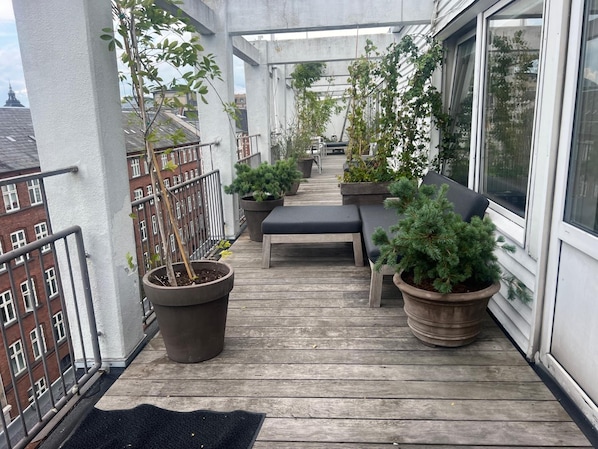 Terraza o patio