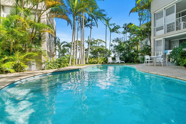 A swimming pool with lounge chairs and palm trees. - Noosa Blue Resort (Noosa Heads)