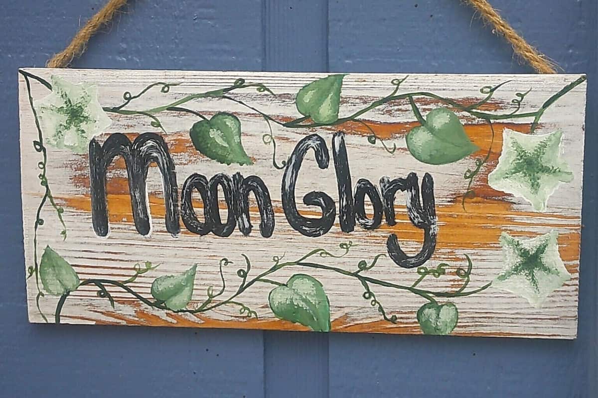 Ein hölzernes Schild mit der Aufschrift 'Moon Glory' und dekorativen Weinranken.