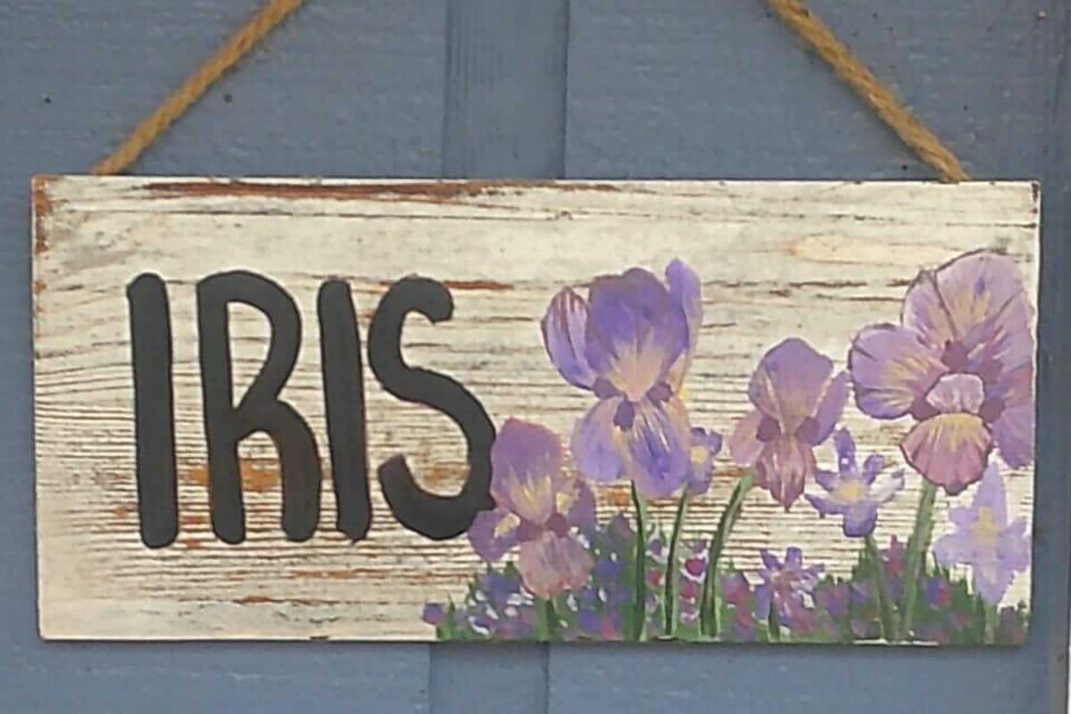 Ein Holzschild mit der Aufschrift 'IRIS' und lila Blumen.