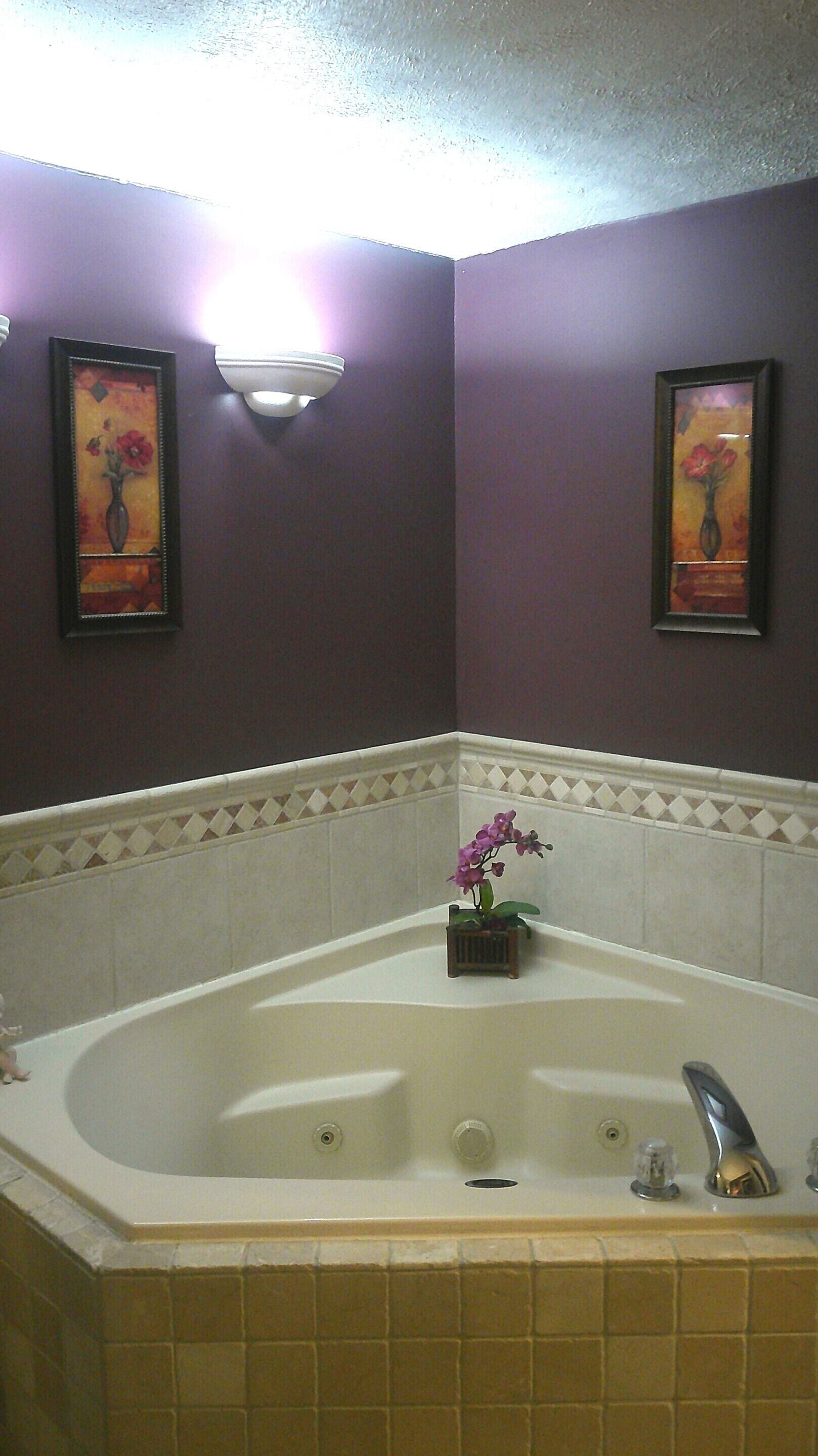 A bathroom with a large bathtub, a small potted plant, and two framed paintings on the walls.