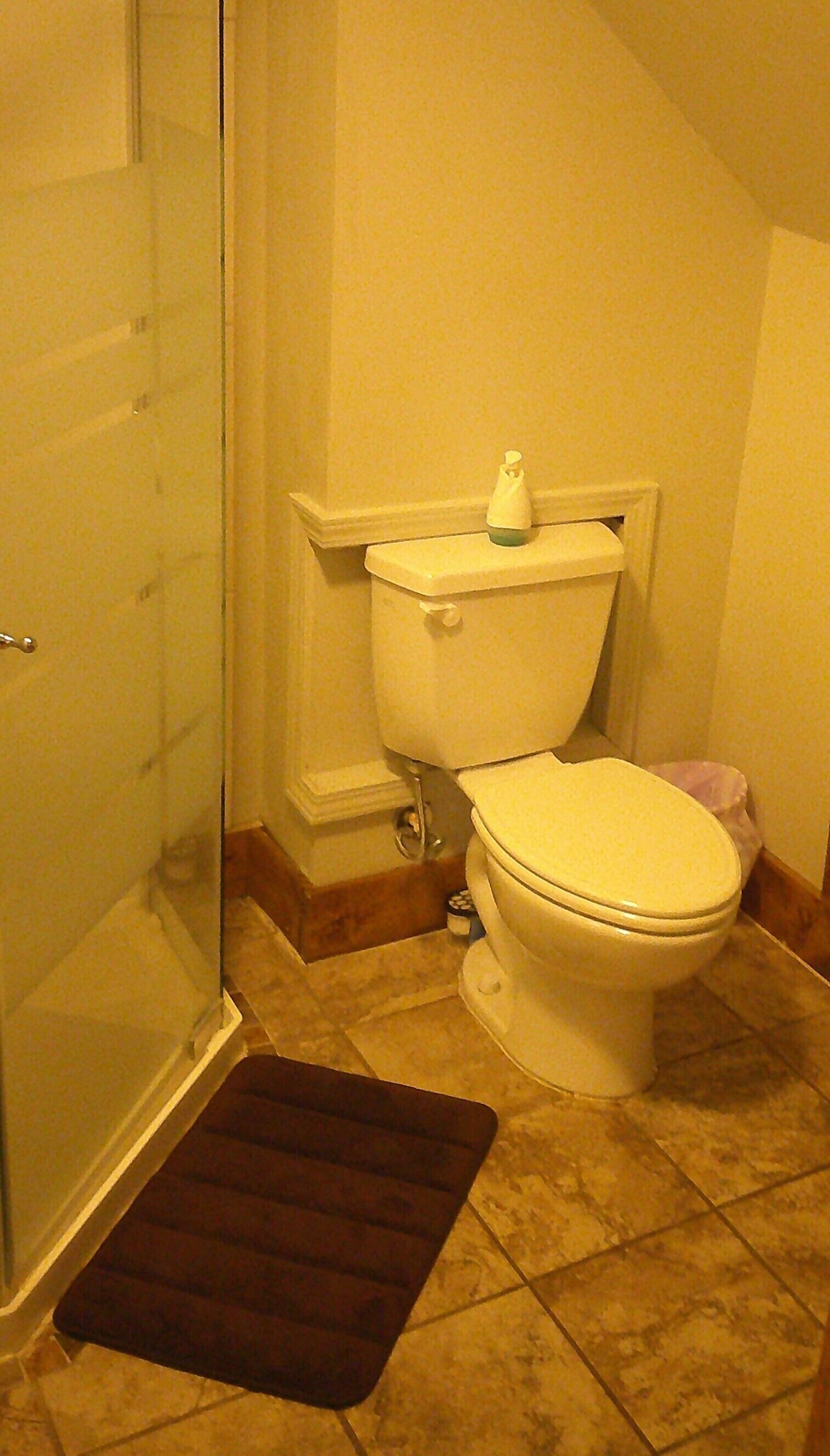 A bathroom with a toilet, a shower, and a small trash bin.