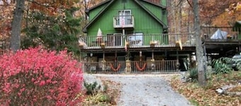 릴 블랙 베어 인