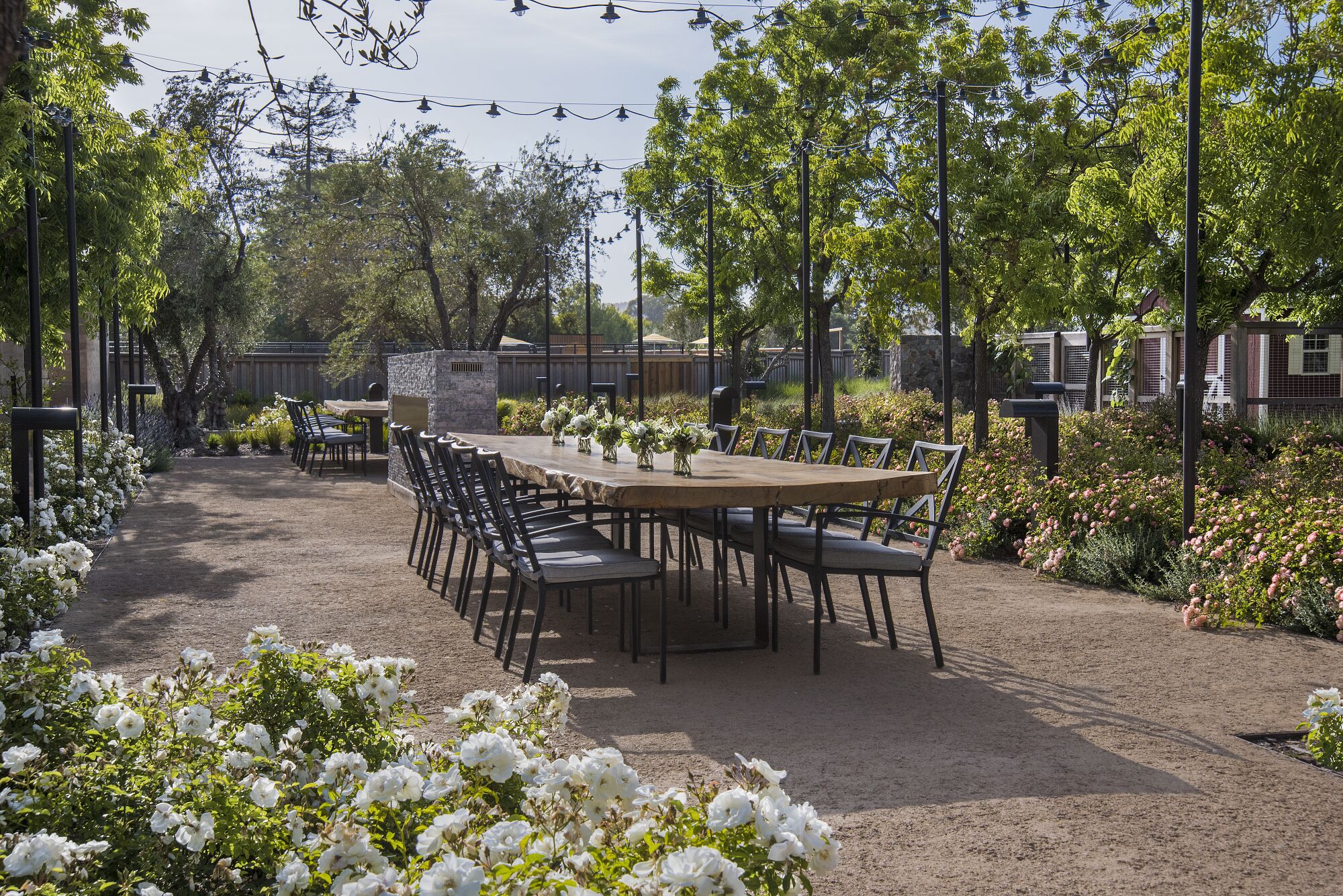 An outdoor dining area with a long wooden table and chairs, surrounded by lush greenery and flowering plants.