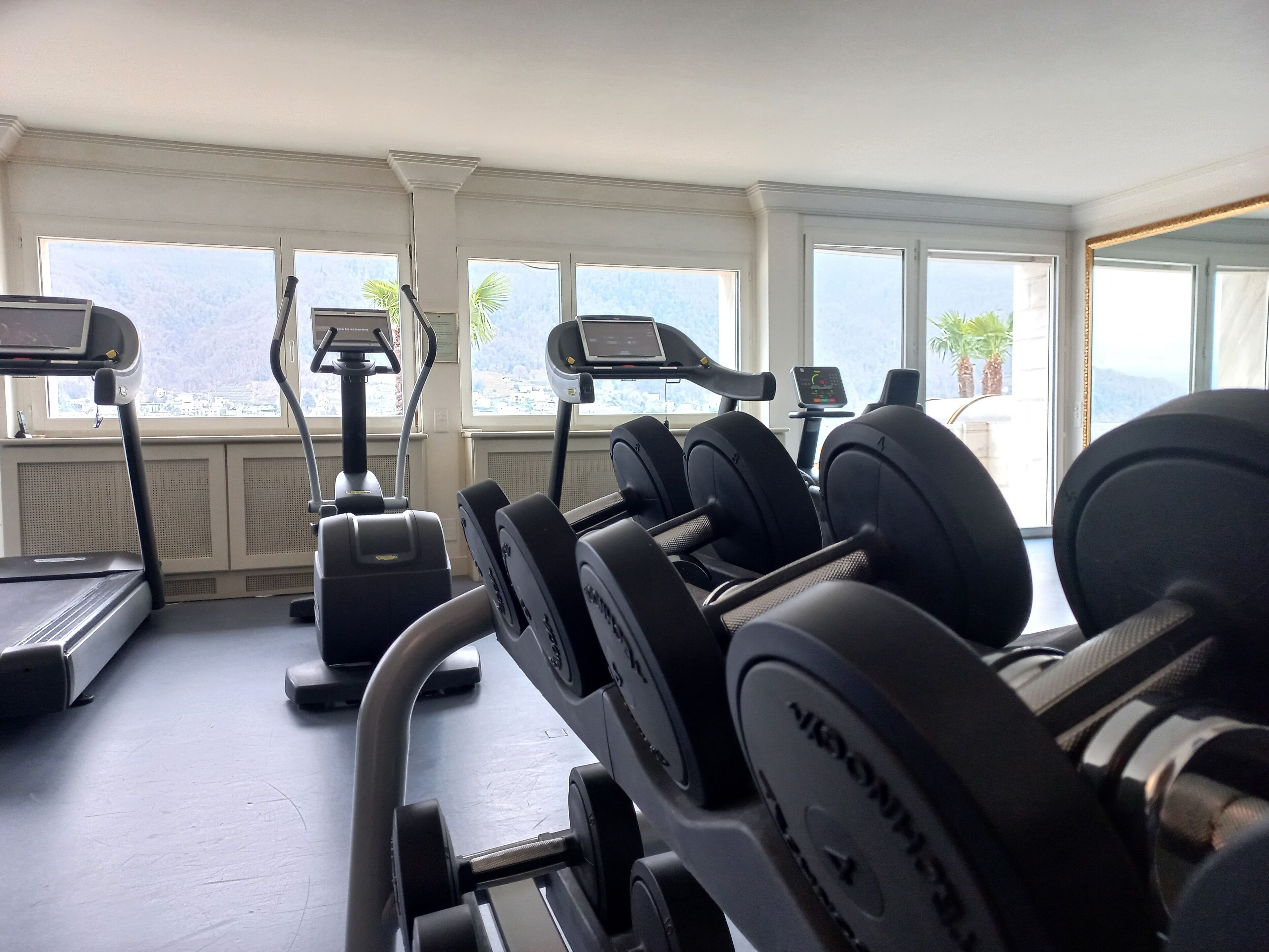 Un gimnasio con cintas de correr, elípticas y bancos de pesas.