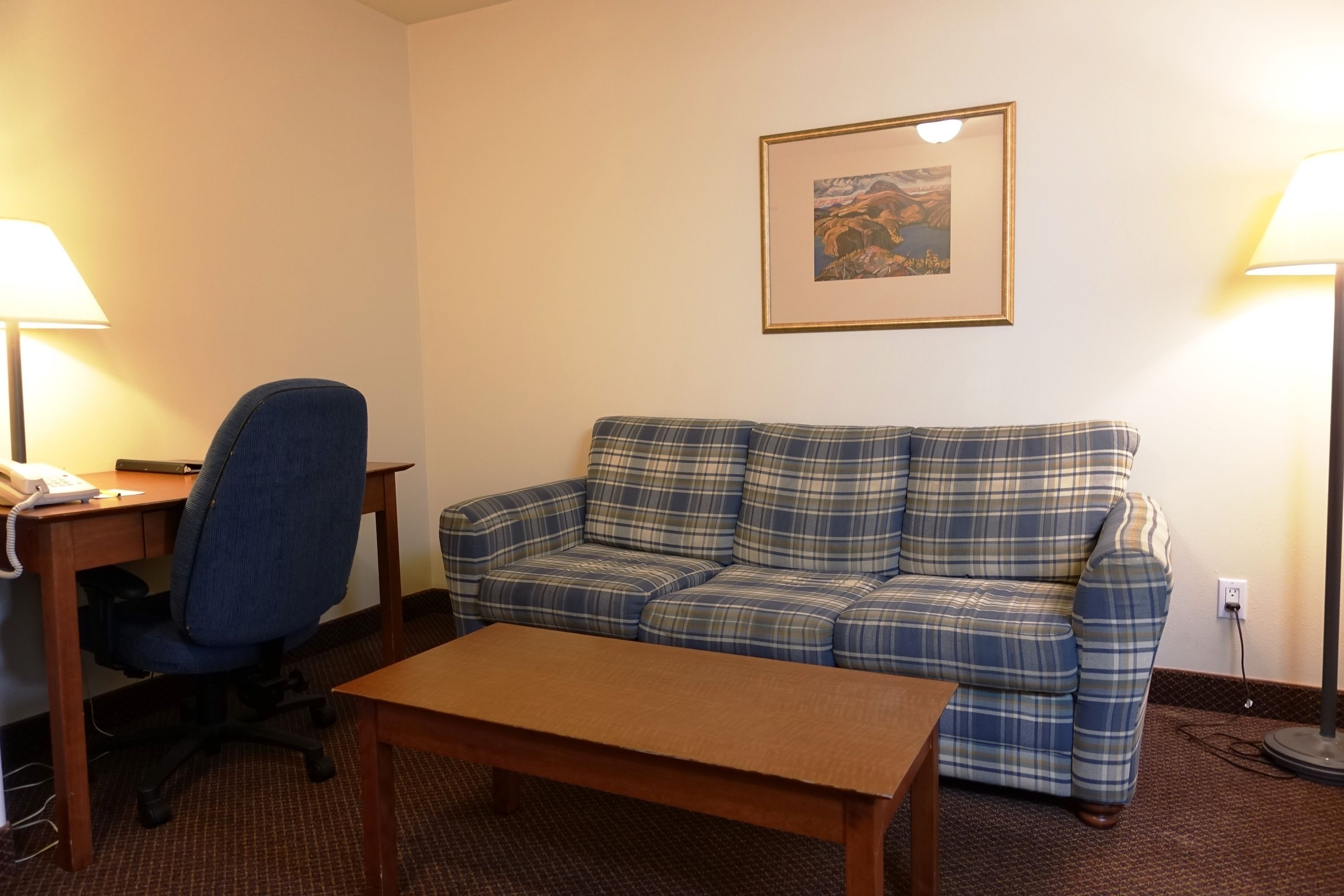A room with a plaid sofa, a wooden table, a desk with a lamp, and a framed picture on the wall.