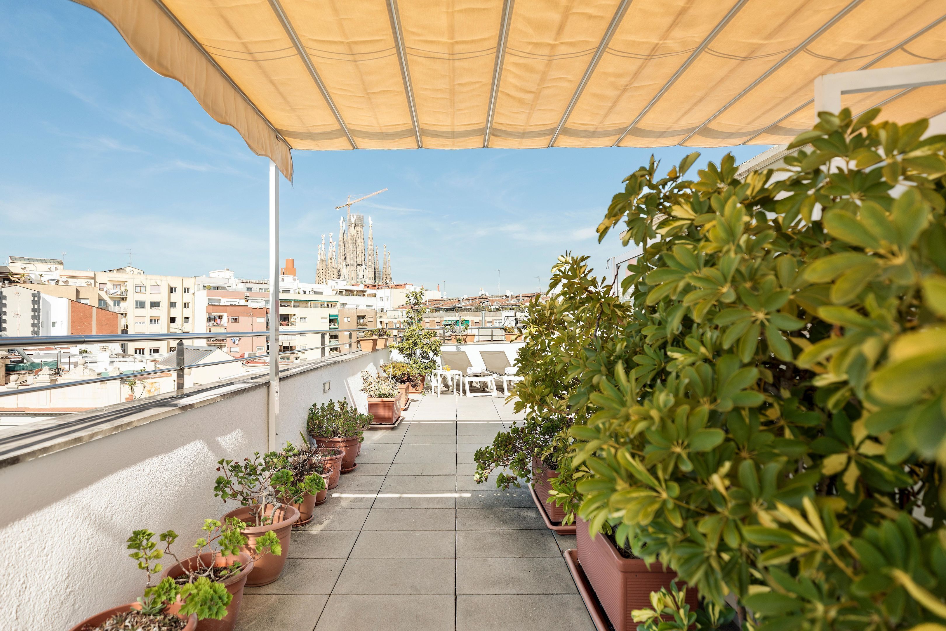 Eine Dachterrasse mit Kübelpflanzen, Gartenmöbeln und Blick auf eine Stadtlandschaft, darunter ein markantes Gebäude mit einem Turm.