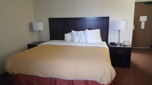 Deluxe Studio Suite, 1 King Bed, Non Smoking | Individually decorated, individually furnished, desk, blackout drapes