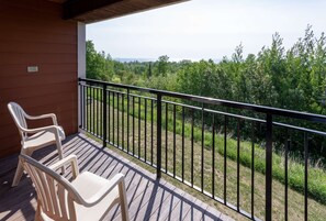 Vistas desde la habitación