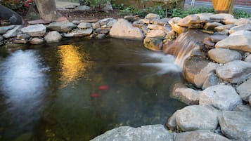 A small waterfall in a garden with rocks and plants around it.