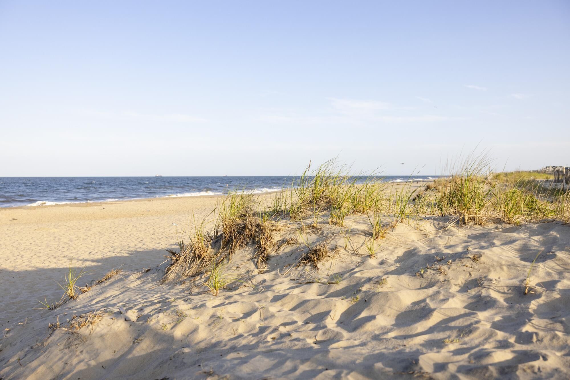 Una playa arenosa con dunas y pasto.