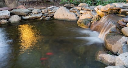 The Bellmoor Inn & Spa