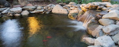 The Bellmoor Inn & Spa