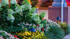 The Bellmoor Inn entrance with a brick facade, a car parked in the background, and a well-maintained garden with various plants and flowers.