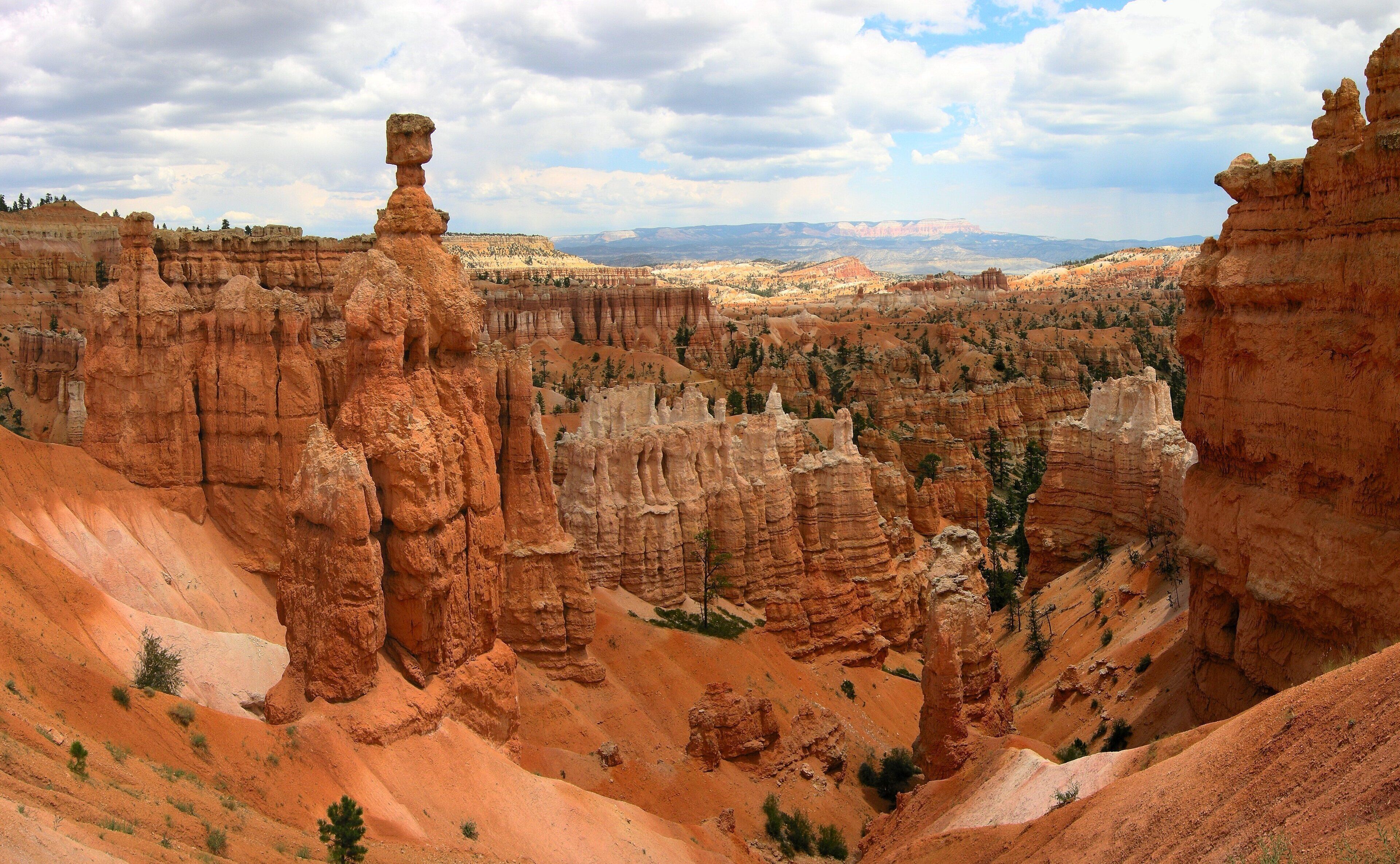 Un paisaje de cañón con formaciones rocosas destacadas y una vista distante de un valle.