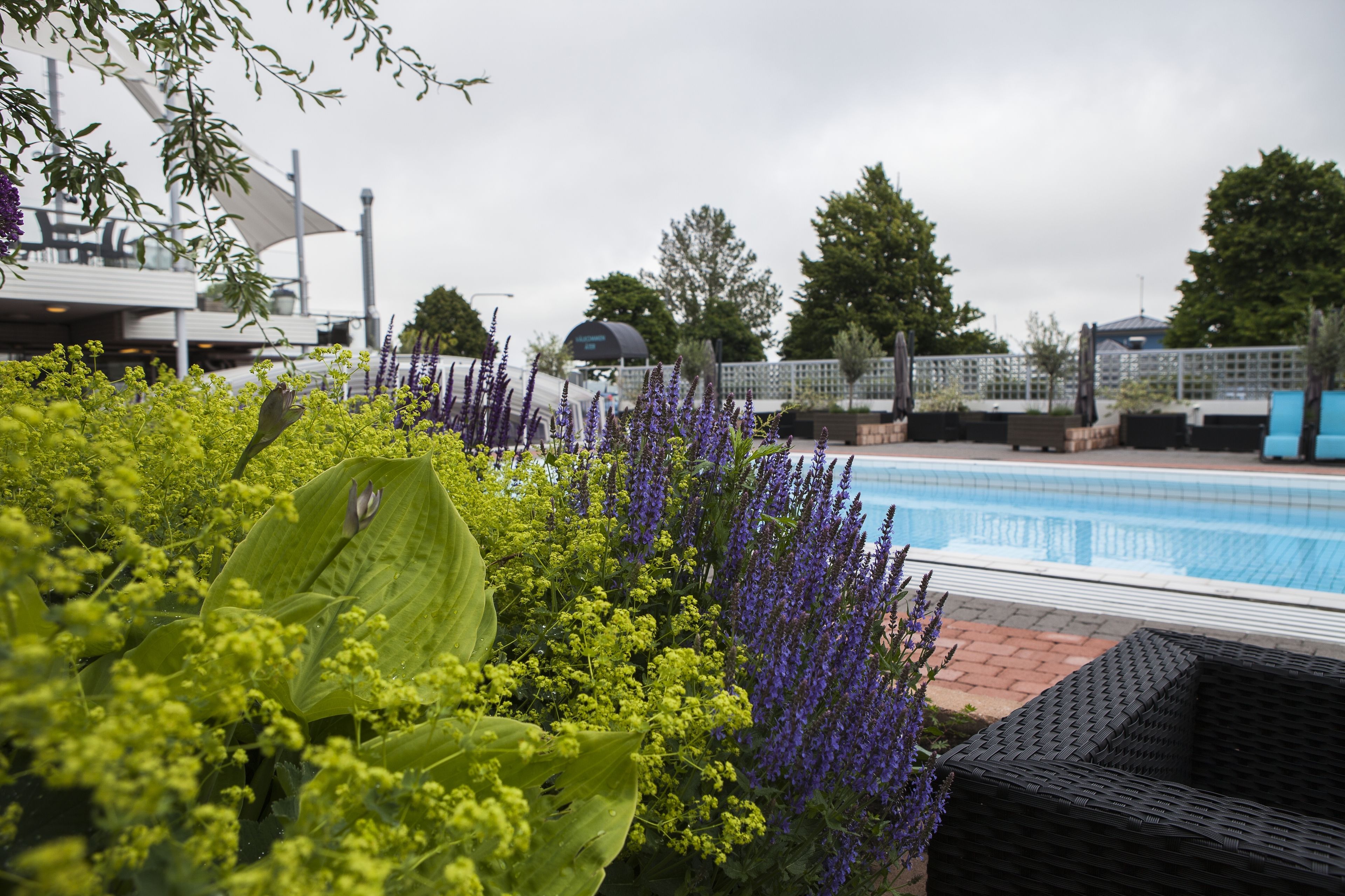indoor pool, seasonal outdoor pool, open 8 am to 7 pm, pool loungers