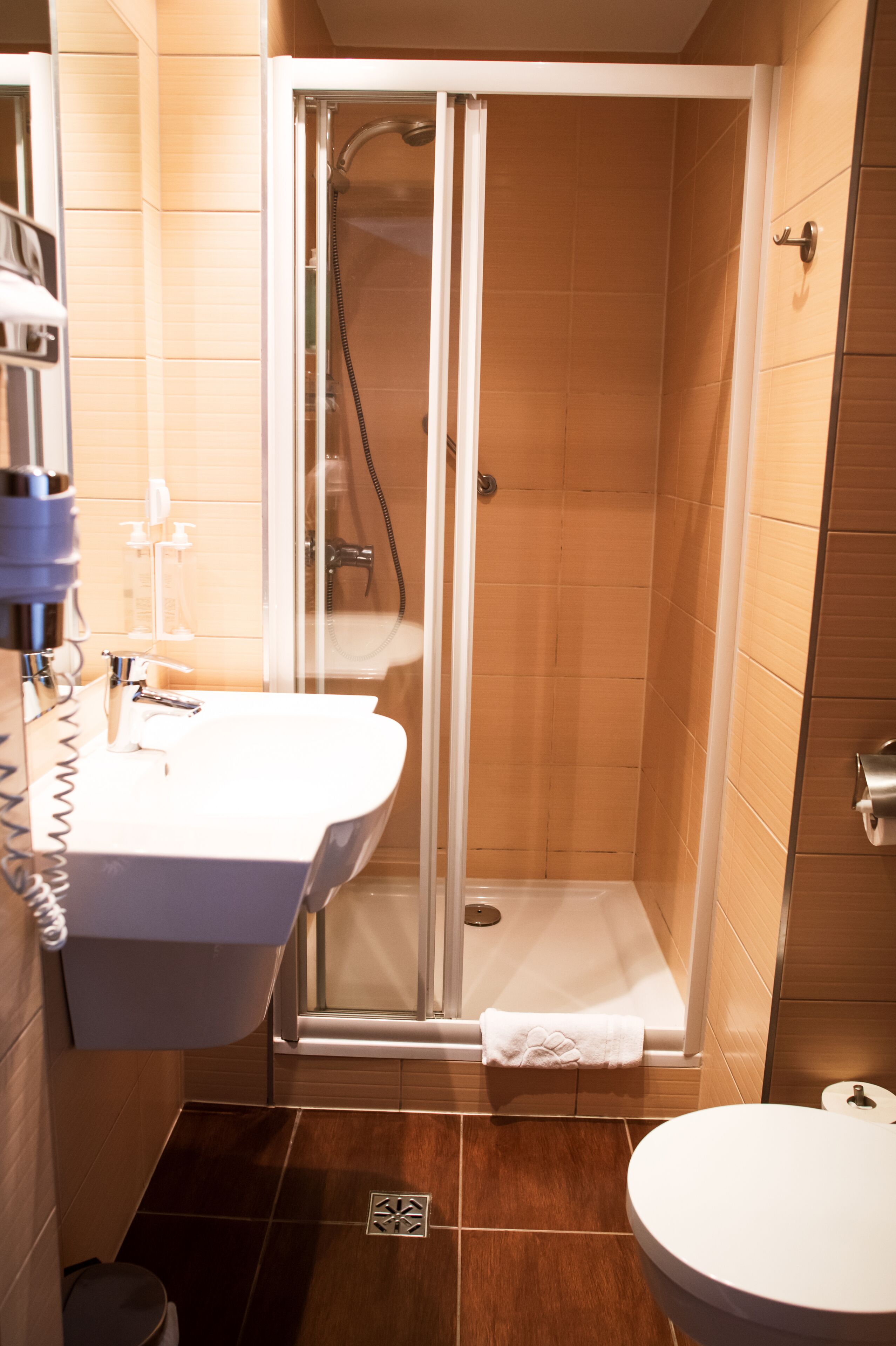 double or twin room | bathroom | shower, free toiletries, hair dryer, towels