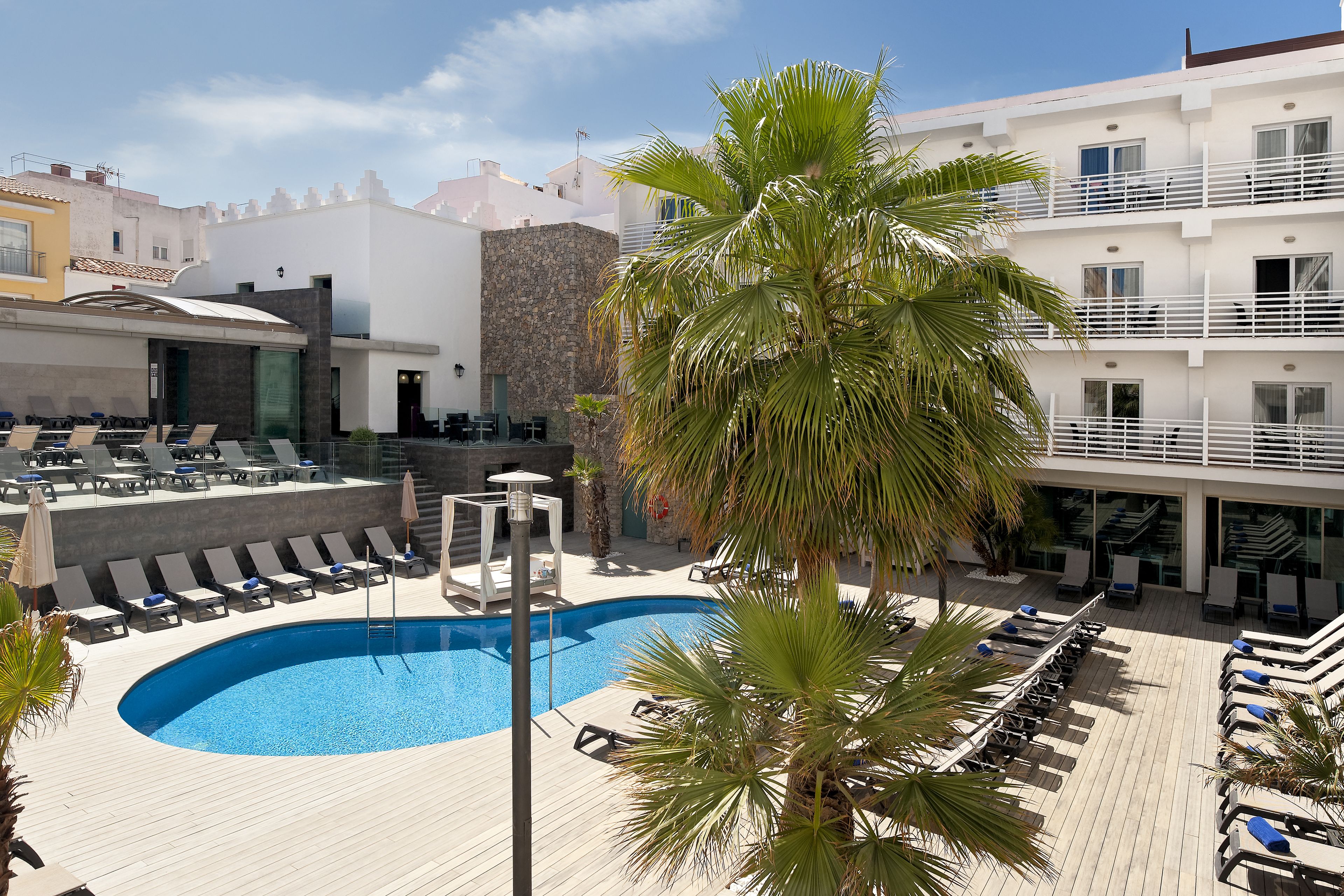 A poolside area with lounge chairs, a pool, and a palm tree.