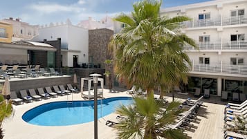 A poolside area with lounge chairs, a pool, and a palm tree.