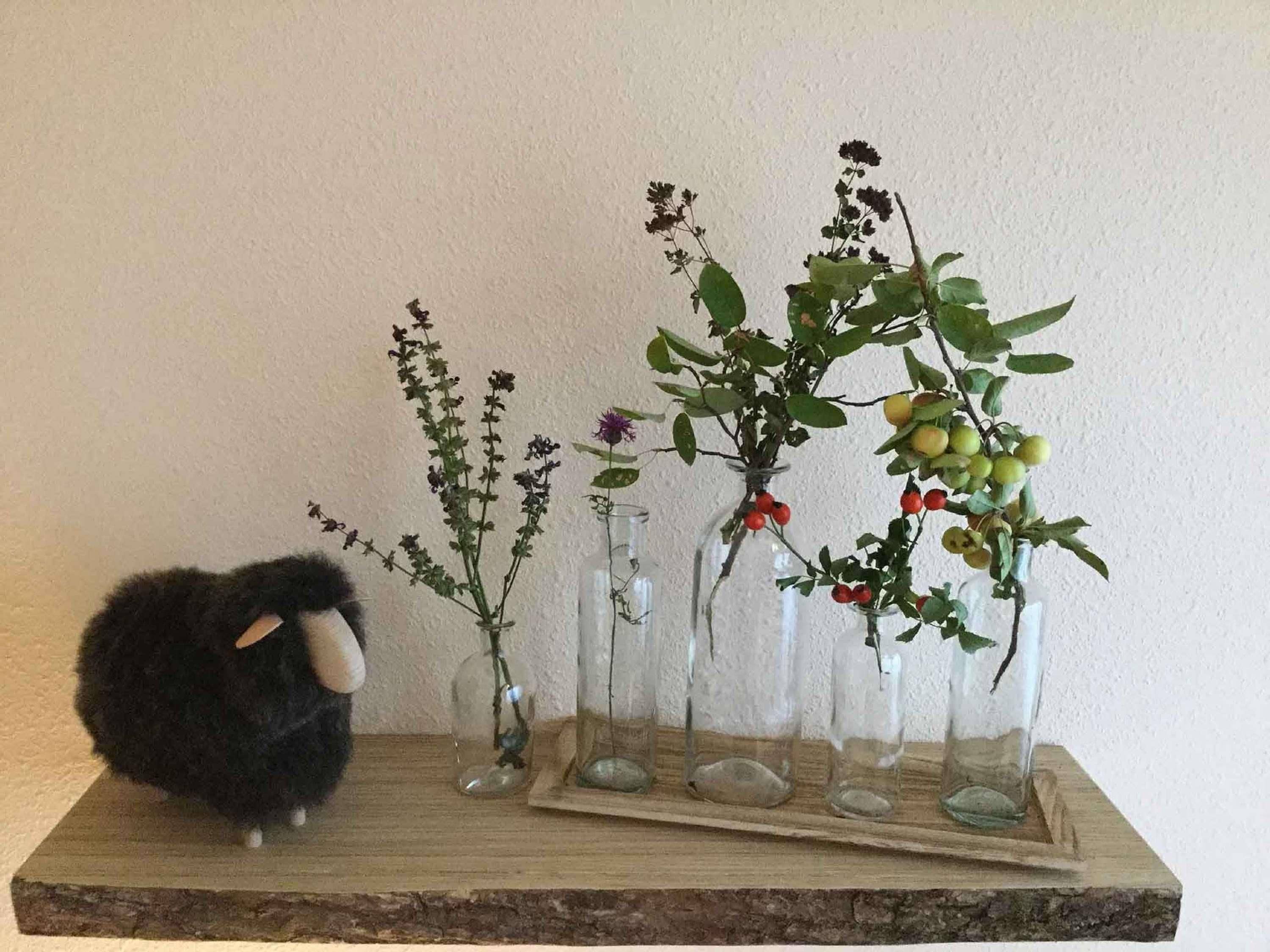 A shelf with glass vases containing various plants and a fluffy black sheep.