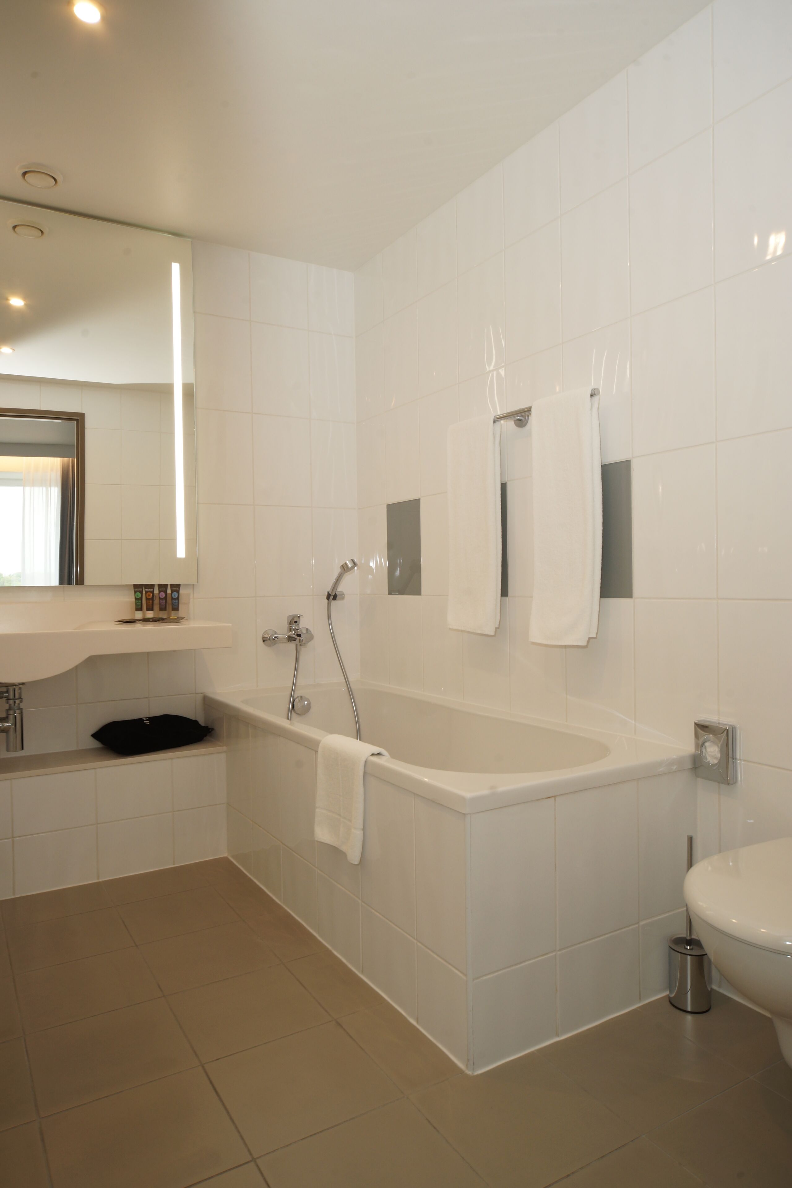 standard room, 1 queen bed with sofa bed | bathroom | separate bathtub and shower, eco-friendly toiletries, hair dryer, towels