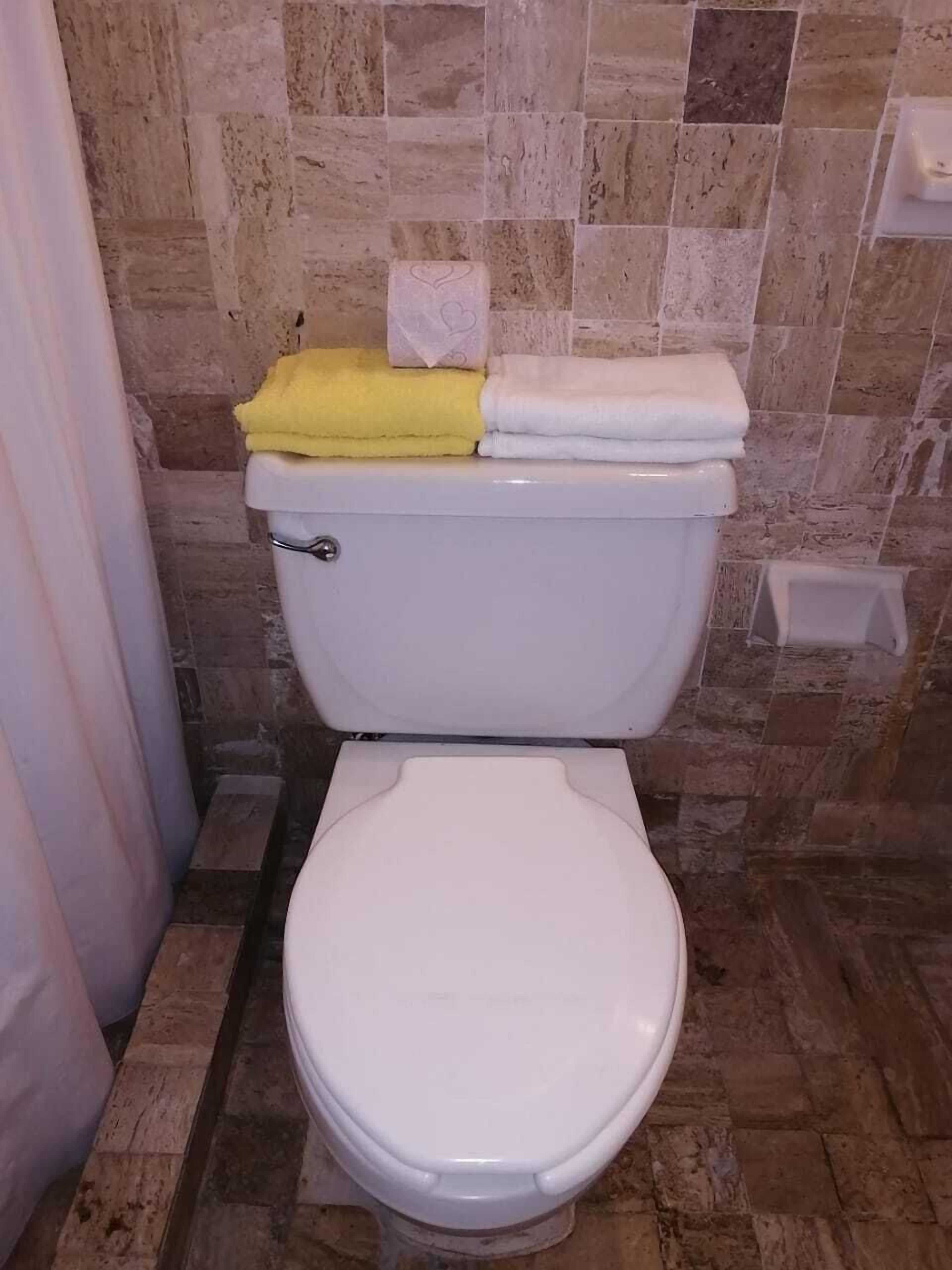 Un baño con inodoro, pared de azulejos y cortina de ducha.