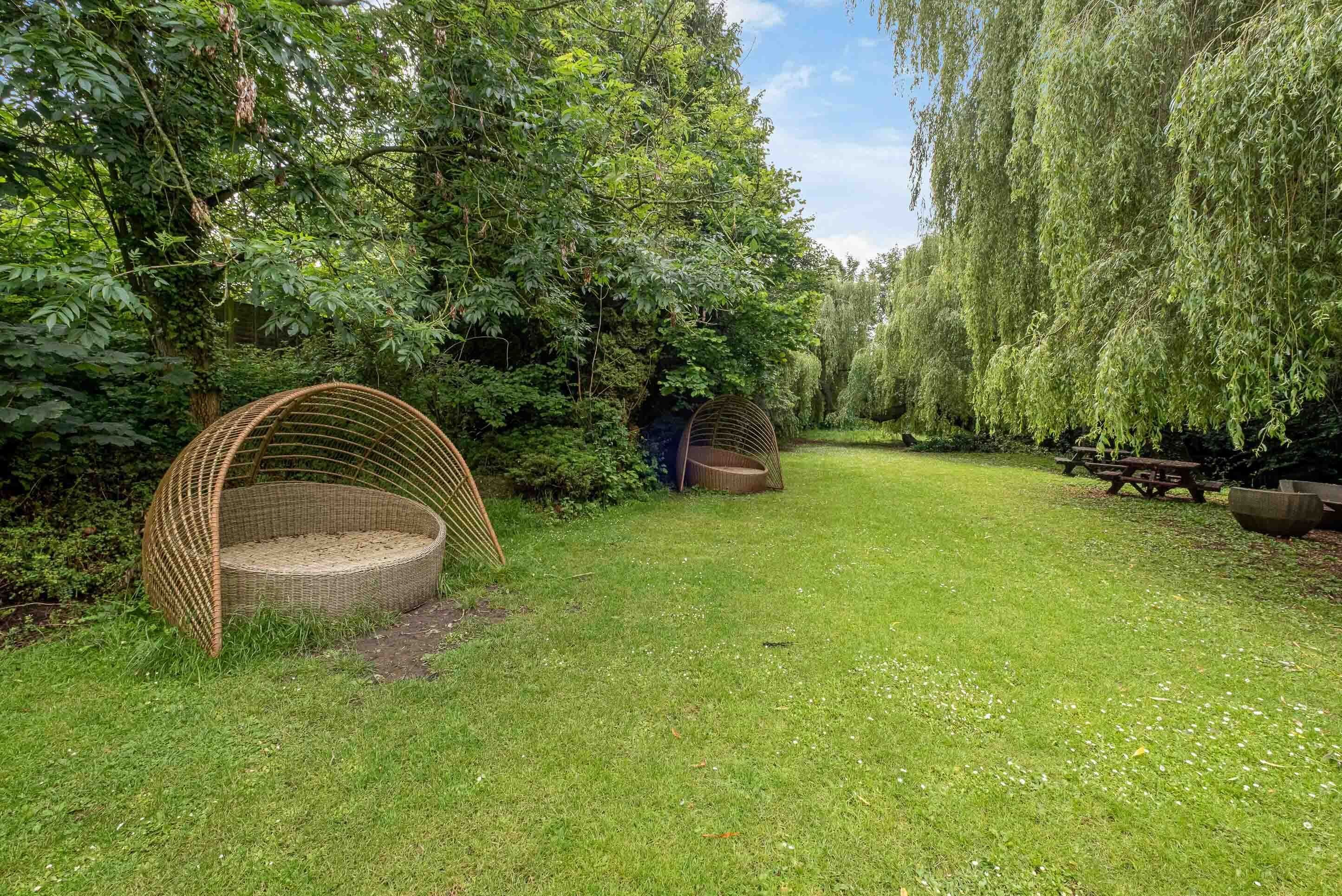 Een tuin met een rieten stoel en een bank, omgeven door weelderige begroeiing en bomen.