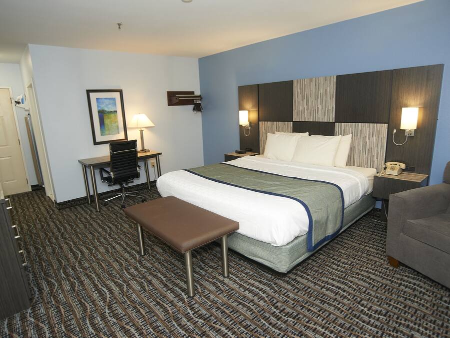 A hotel room with a bed, a desk, a chair, and a bench.