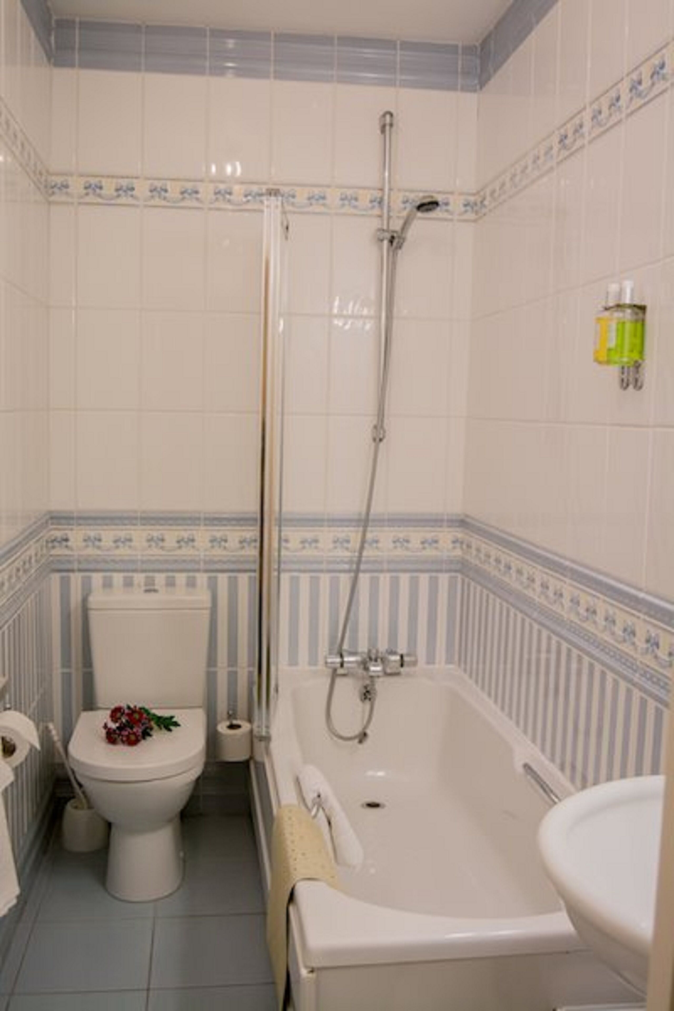 executive twin room | bathroom | bathtub, free toiletries, hair dryer, towels