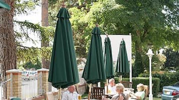Terras