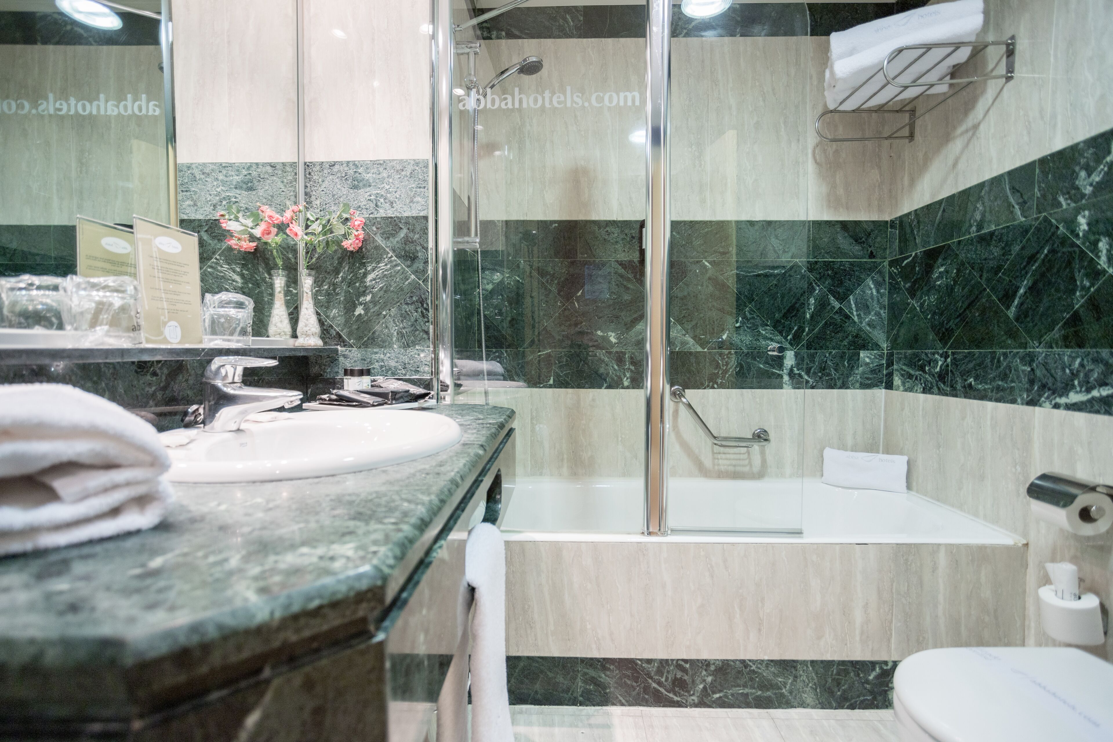 combined shower/bathtub, free toiletries, hair dryer, bidet