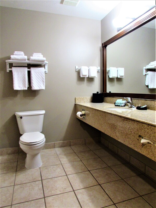 Une salle de bain comprenant des toilettes, un lavabo avec un miroir et plusieurs porte-serviettes.