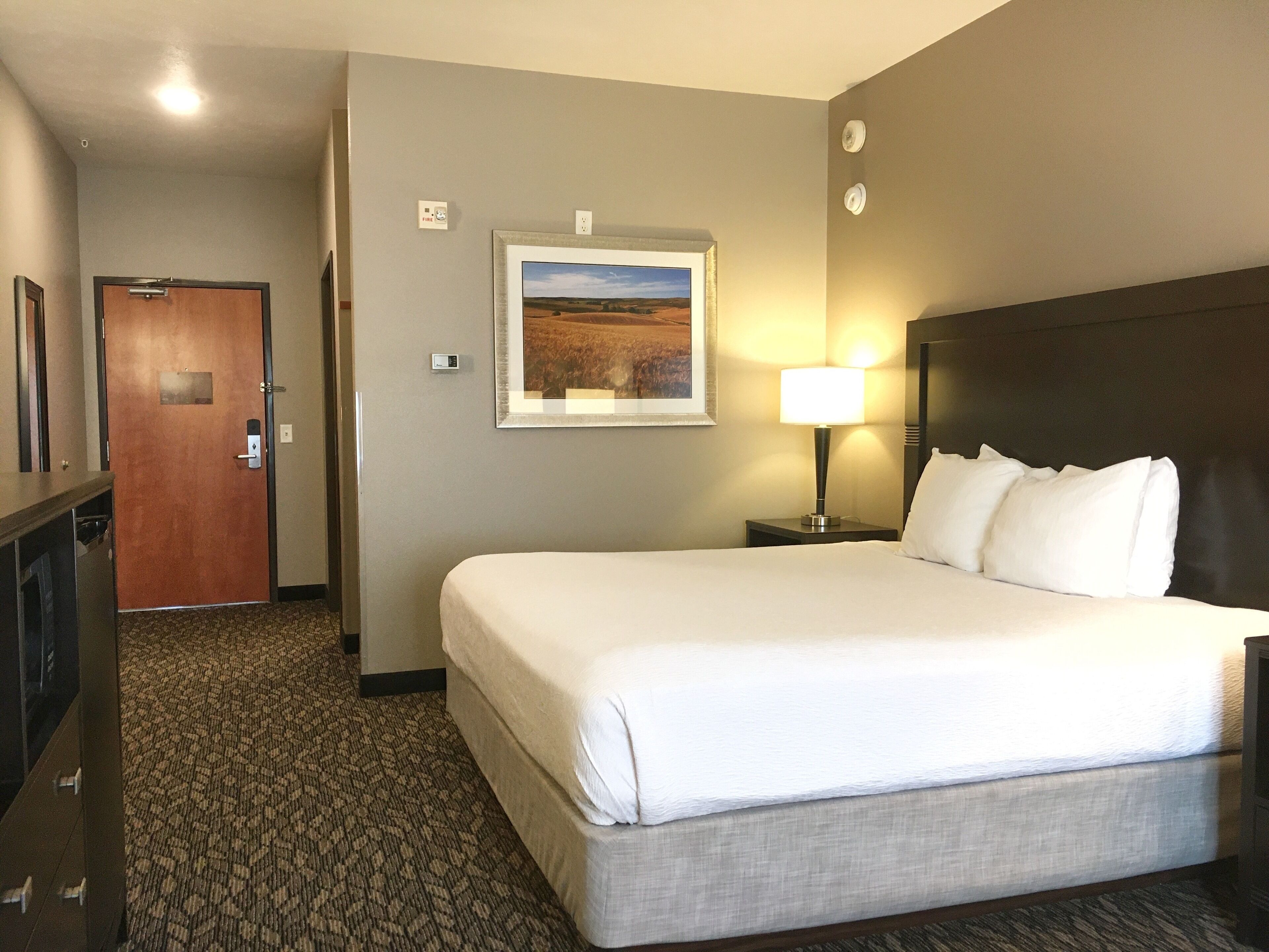 A hotel room with a large bed, a nightstand with a lamp, a framed picture on the wall, and a door to the left.
