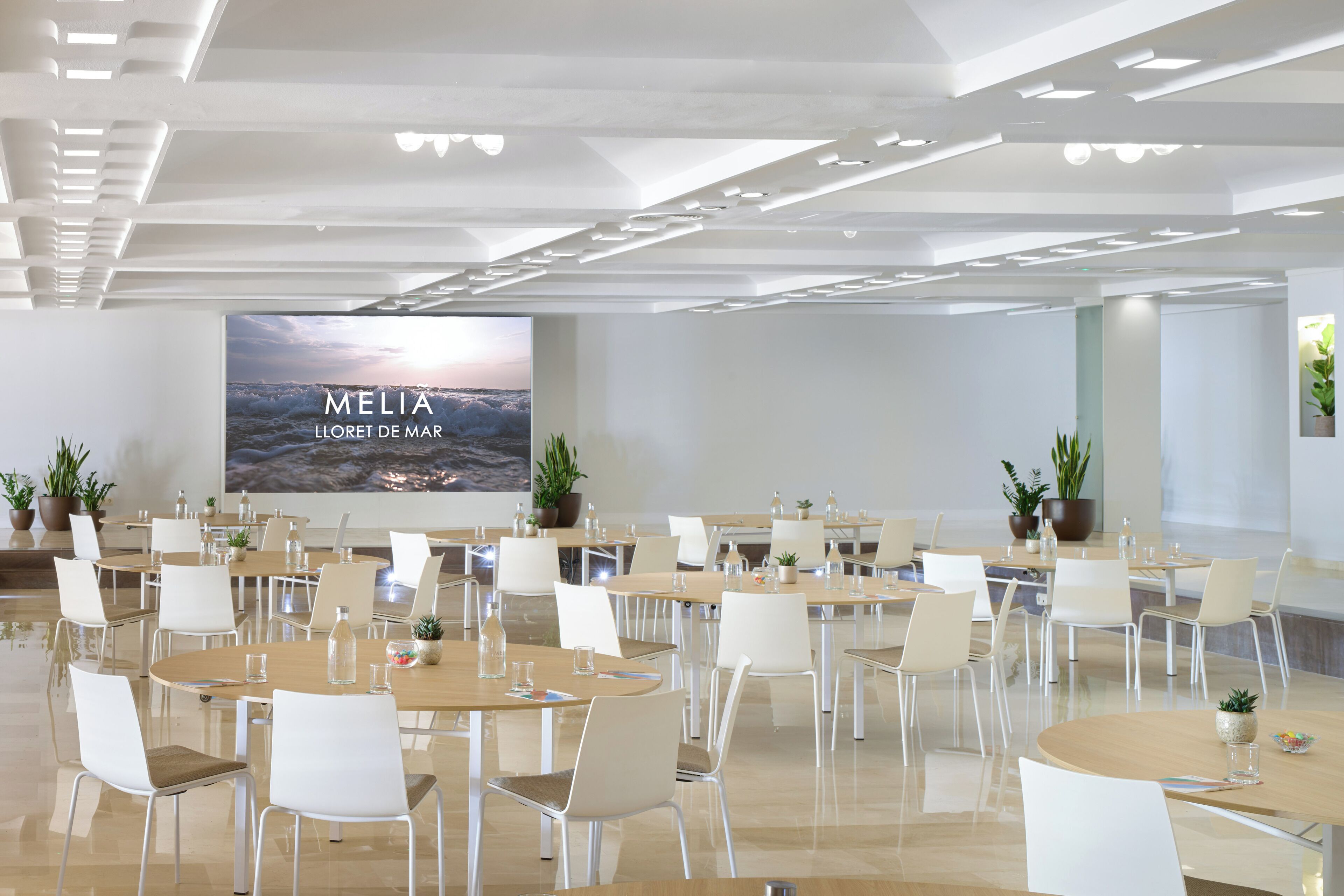 A modern conference room with round tables, white chairs, and potted plants.