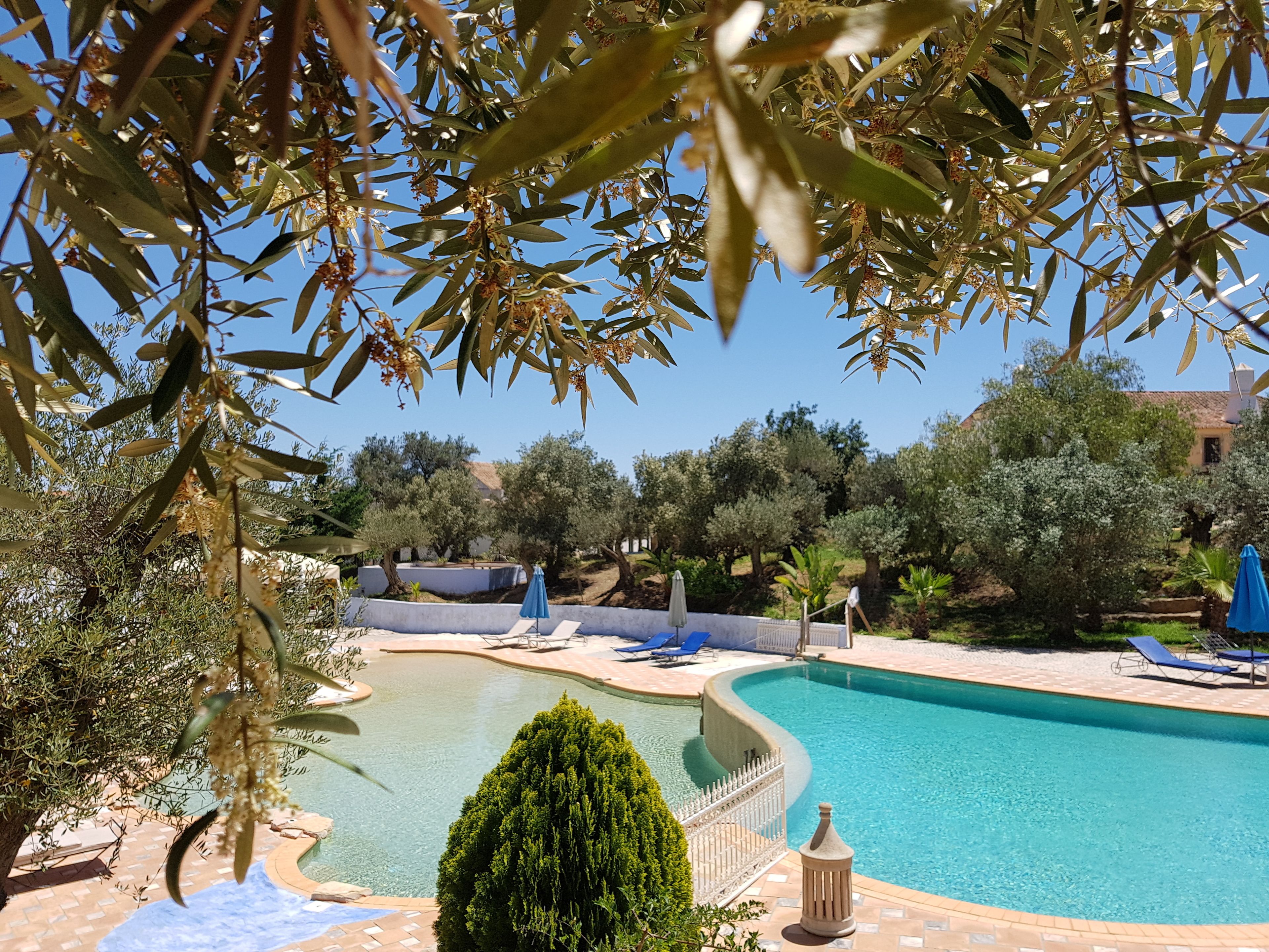 outdoor pool, pool umbrellas, pool loungers