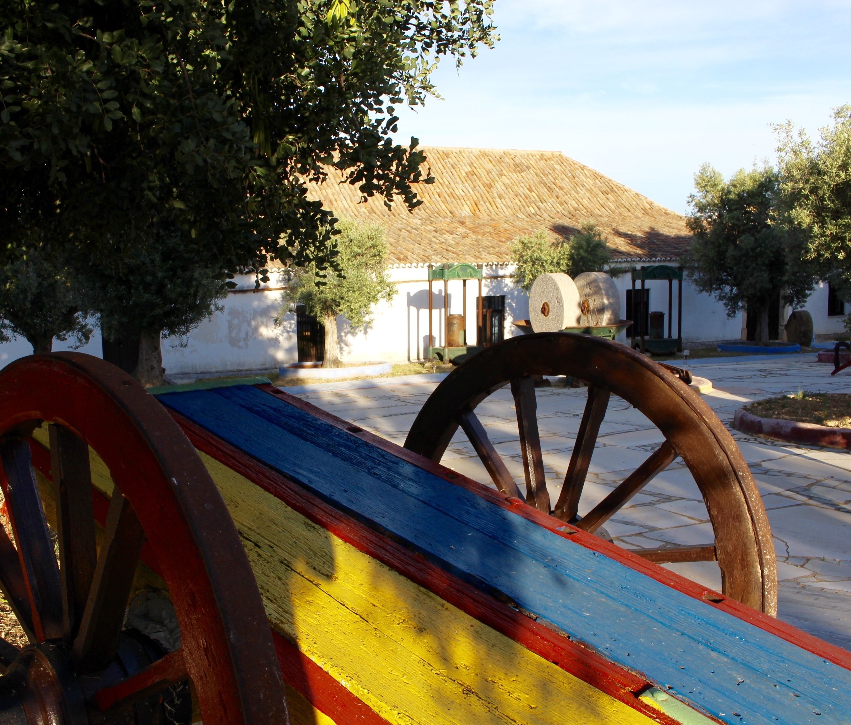 A colorful wooden bench with a large wheel in the foreground, a white building with a green awning in the background, and a tree to the left.