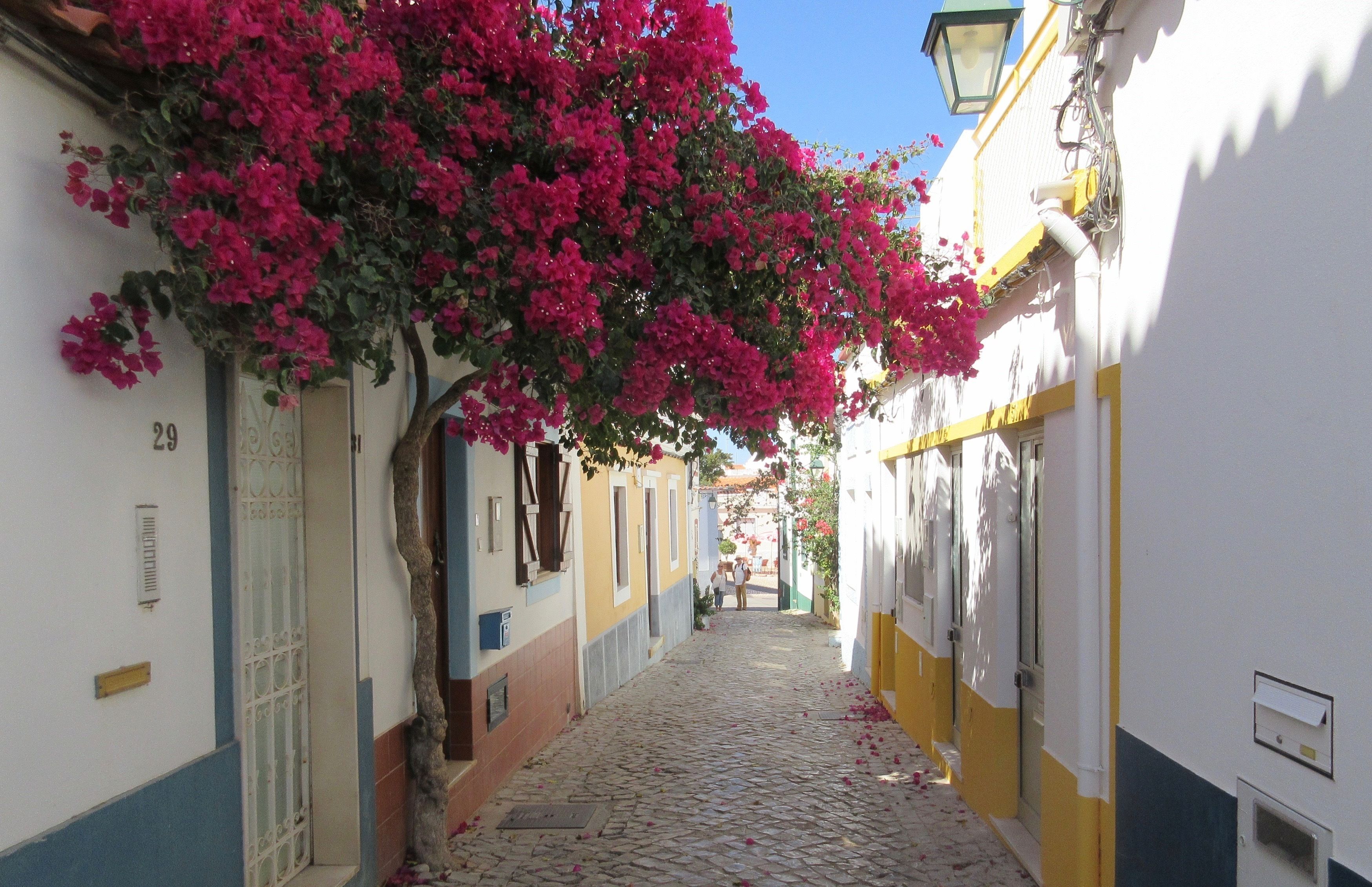 Beach nearby, white sand