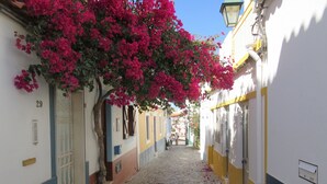 A narrow cobblestone street flanked by buildings with balconies and a tree with pink flowers. - Hotel Capela das Artes (Silves)